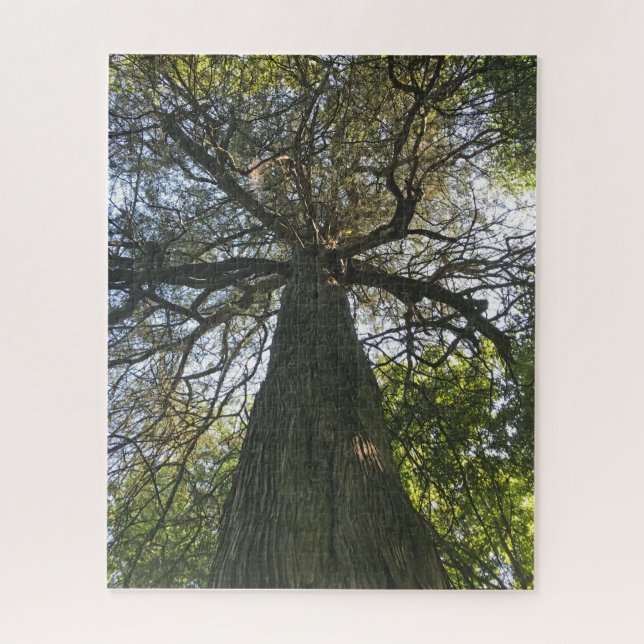 Big Beautiful Tree (Vertikal)
