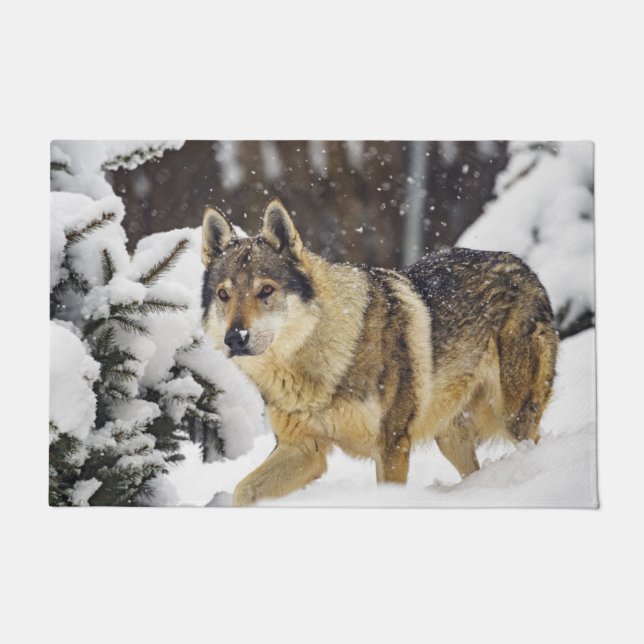 Big Beautiful Wild Wolf im Schnee Fußmatte (Vorderseite)