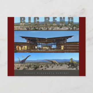 BIG BEND NAT’L PARK-Texas-Fossil Ausstellung - Postkarte