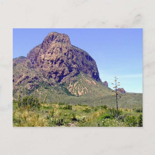 Big Bend Nationalpark Post Card Postkarte (Vorderseite)