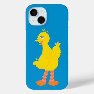 Big Bird Graphic title_seo2