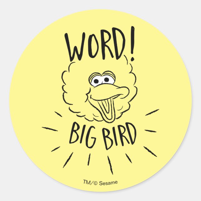 Big Bird Skate Logo - Word! Big Bird Runder Aufkleber (Vorderseite)