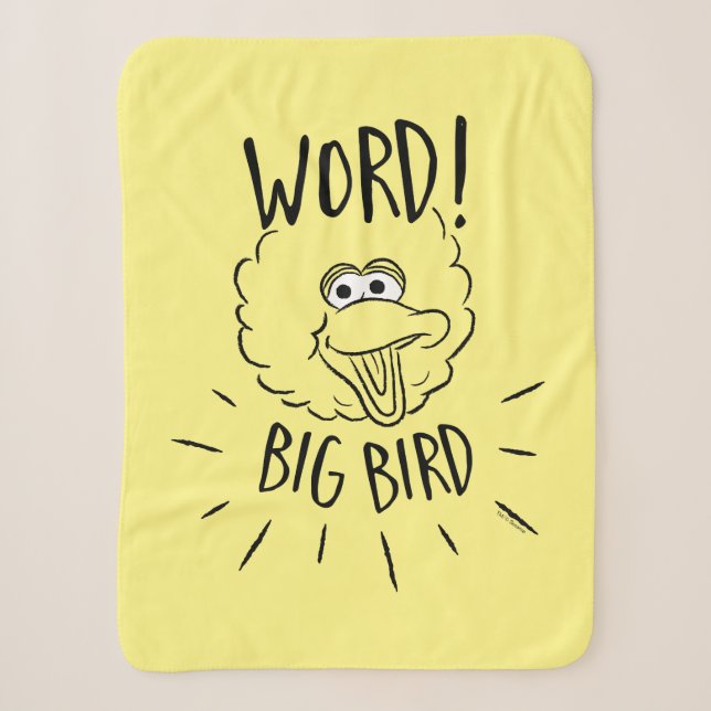 Big Bird Skate Logo - Word! Big Bird Sherpadecke (Vorderseite)
