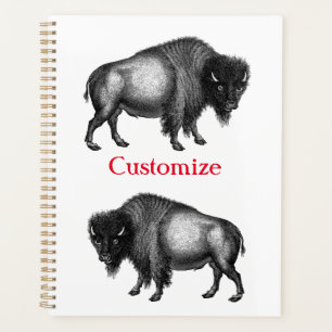 Big Bison Buffalo Thunder-Cove