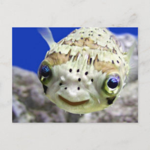 Big Blue Eyes Postkarte