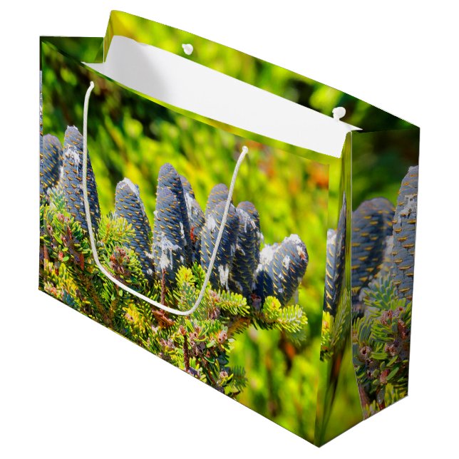 Big Blue Korean Fir Cones Große Geschenktüte (Vorderseite Schrägansicht)