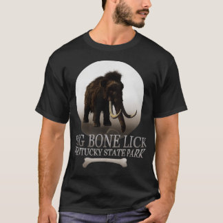 Big Bone Lick Kentucky Staat Park T-Shirt