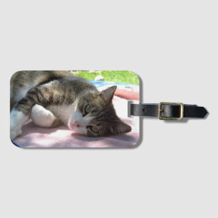 Big Boy Cat auf dem Tisch Gepäckmarke Gepäckanhänger