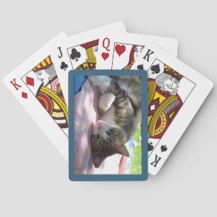 Big Boy Cat on Table Playing Cards Spielkarten