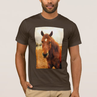 Big Braxton Men-T - Shirt