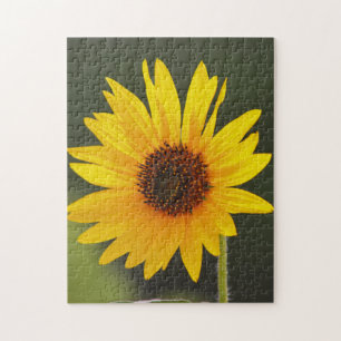 Big Bright Sonnenblumen Blume Naturpuzzle