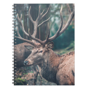Big Brown Buck Deal mit großen Antlern Notizblock
