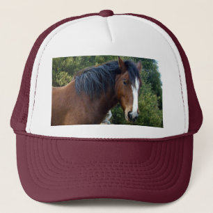 Big Brown Clydesdale Pferd, Truckerkappe