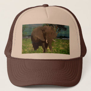Big Brown Elephant Grazing, Truckerkappe