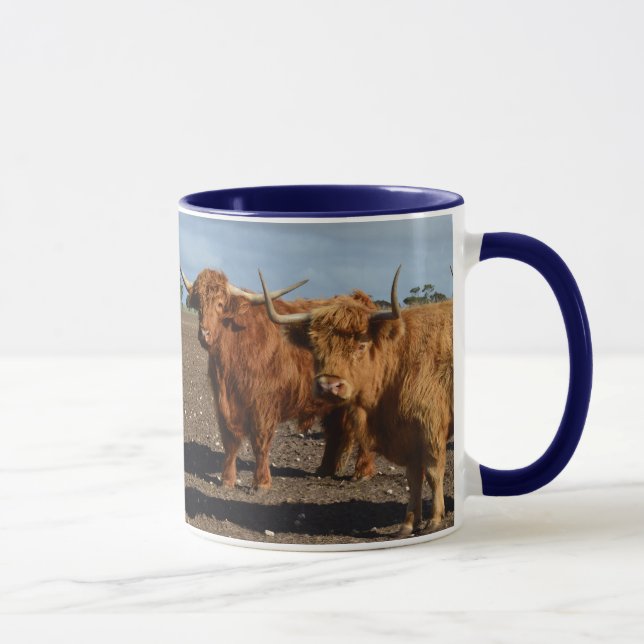 Big Brown Highland Cows, Tasse (Rechts)