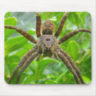 Big Brown Spider Mousepad