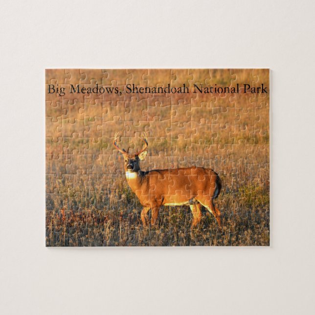 Big Buck, Big Meadows, Shenandoah National Park (Horizontal)