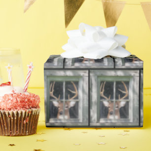 Big Buck Deh im Fenster Geschenkpapier