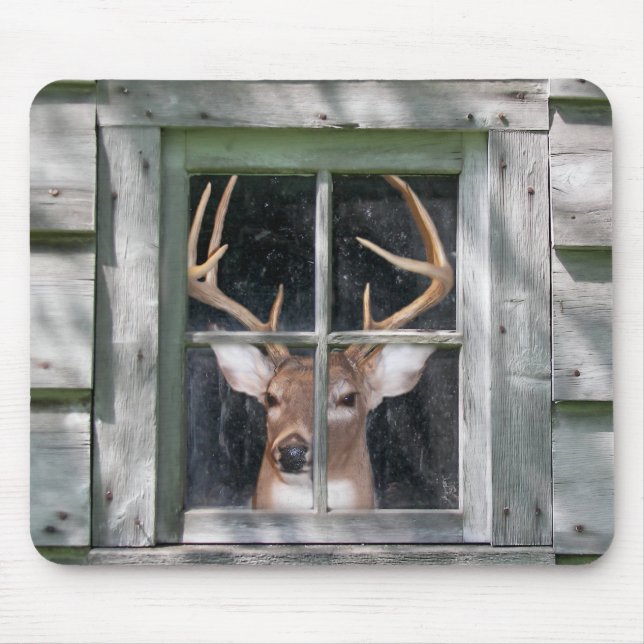 Big Buck im Kabinenfenster Mousepad (Vorne)