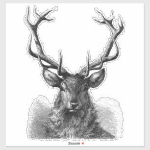 Big Buck Sticker