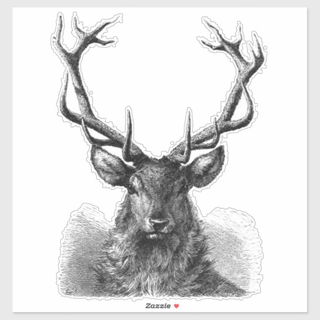Big Buck Sticker (Blatt)