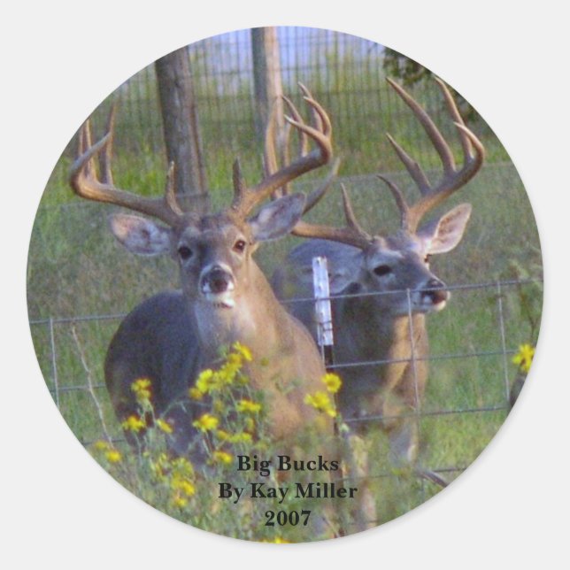 Big Bucksby Kay Miller2007 Runder Aufkleber (Vorderseite)
