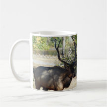 Big Bull Elk Jagdmancave Design Coffee Tasse Cup
