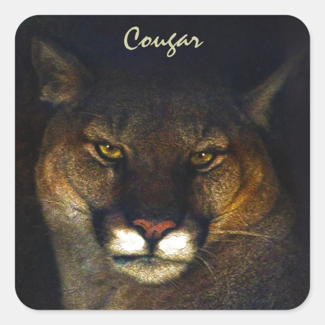 Big Cat Cougar Mountain Lion Art Design Quadratischer Aufkleber (Vorderseite)