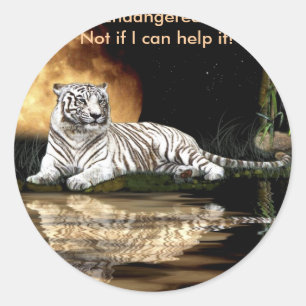 BIG CAT gefährdete Arten Runder Aufkleber