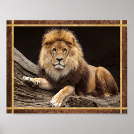 Big Cat Lion Foto Poster