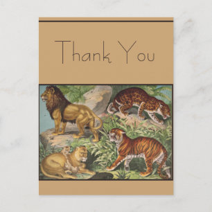 Big Cat Lions Tiger, Leoparden, Tiere drucken Postkarte