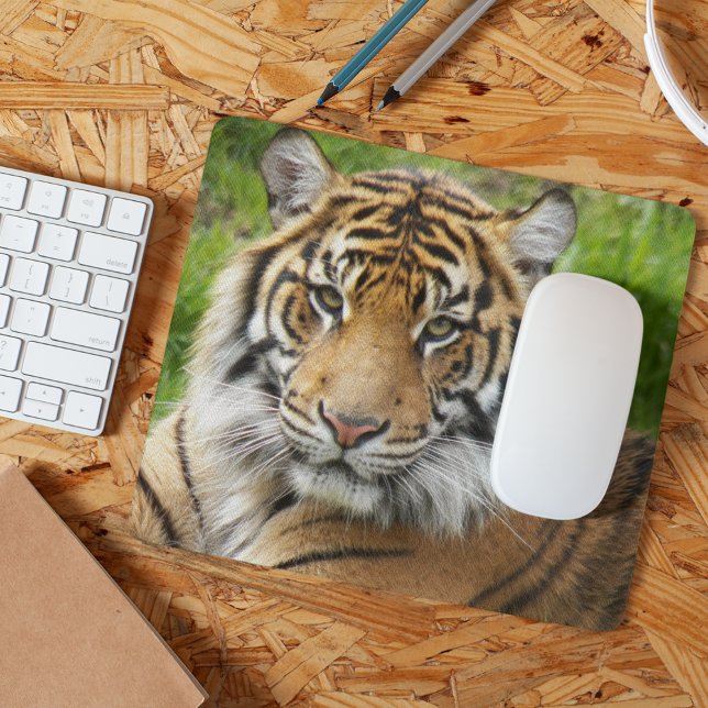 Big Cat Sumatran Tiger Foto Mousepad (In Situ)