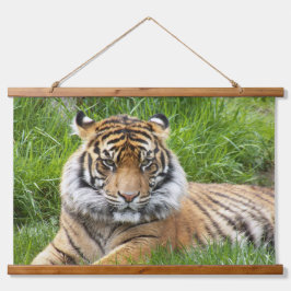 Big Cat Sumatran Tiger Foto Wandteppich Mit Holzrahmen