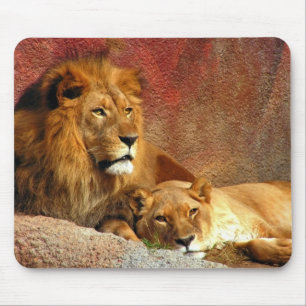 Big Cats - 6 Mousepad