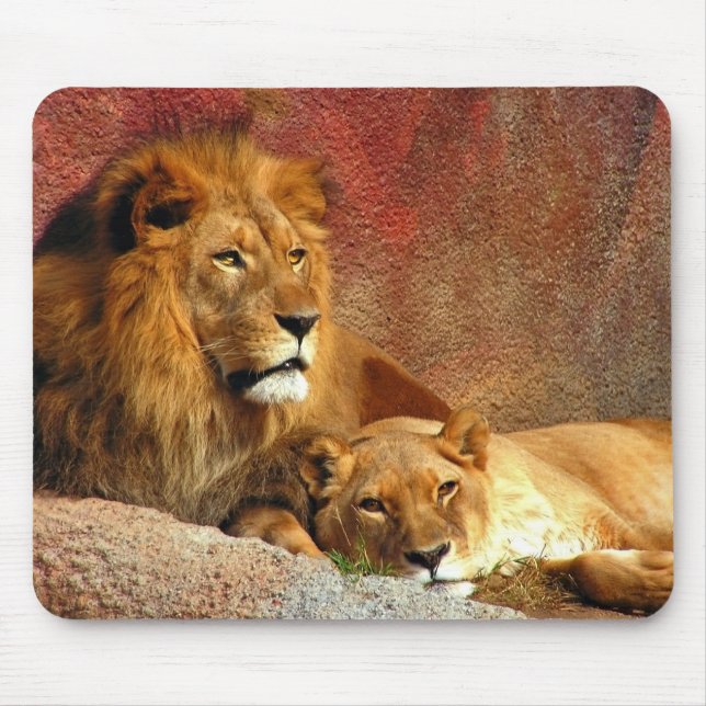 Big Cats - 6 Mousepad (Vorne)