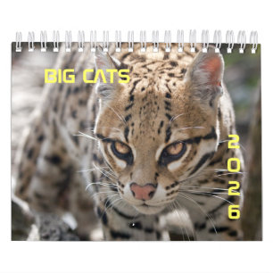 Big Cats Calendar Kalender