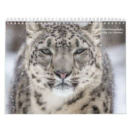 Big Cats Calendar Kalender