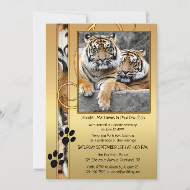Big Cats Tiger Gold Post Hochzeit Einladung (Vorderseite)