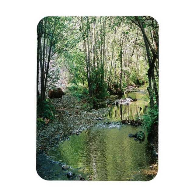 Big Creek... Magnet (Vertikal)