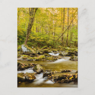 Big Creek   North Carolina Postkarte