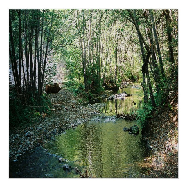 Big Creek.. Poster (Vorderseite)