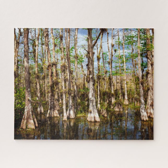 Big-Cypress-Reserve (Horizontal)