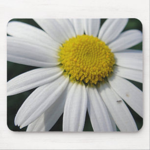 Big Daisy Mousepad