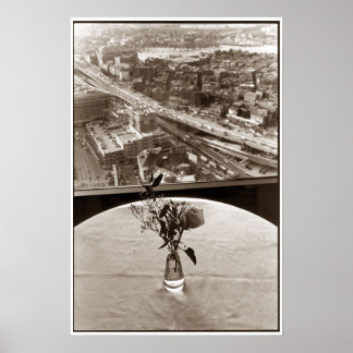Big-Dig-Rose Poster