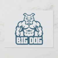 Big Dog