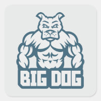 Big Dog