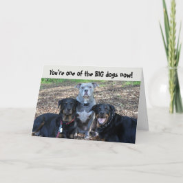 Big Dogs Now Abschluss Card Karte