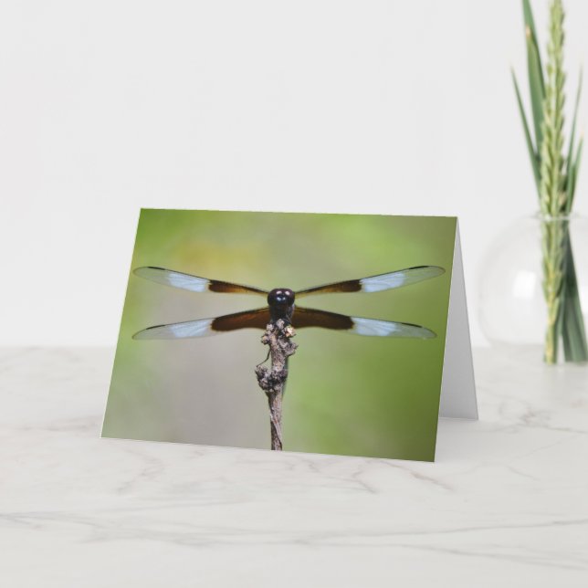 Big Dragonfly Nahe Naturnotizkarte Karte (Vorderseite)