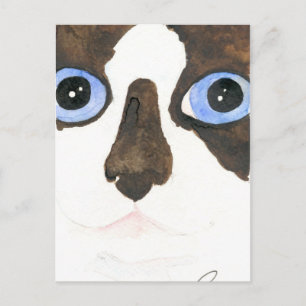 Big Eyed Snowshoe cat Carte postale