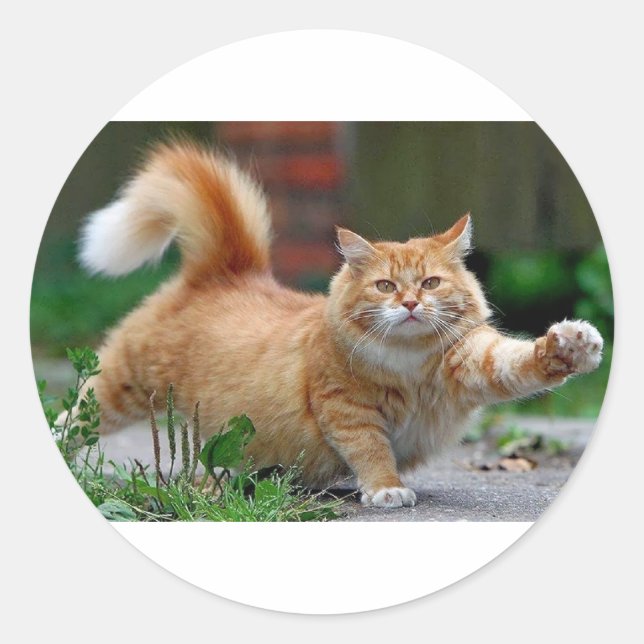 Big Fat Orange Cat Runder Aufkleber (Vorderseite)